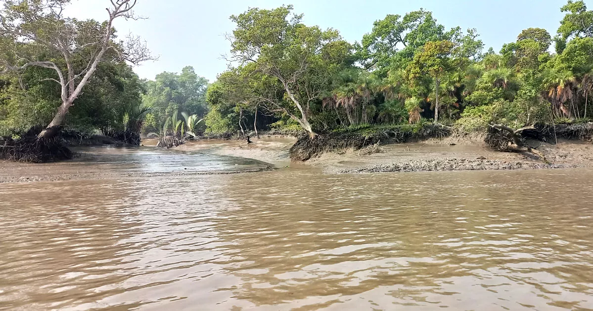 ১৪ ফেব্রুয়ারিকে জাতীয় সুন্দরবন রক্ষা দিবস ঘোষণার দাবি